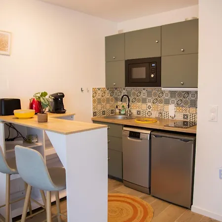 Apartman With Swimming Pool In Juan Les Pins