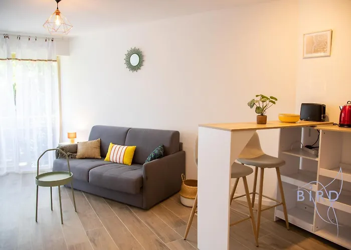 With Swimming Pool In Juan Les Pins Appartement